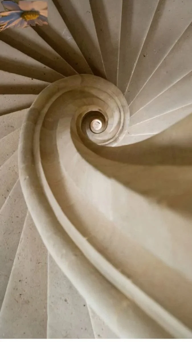 View of a spiral staircase looking down from the top, showing the staircase's circular pattern.