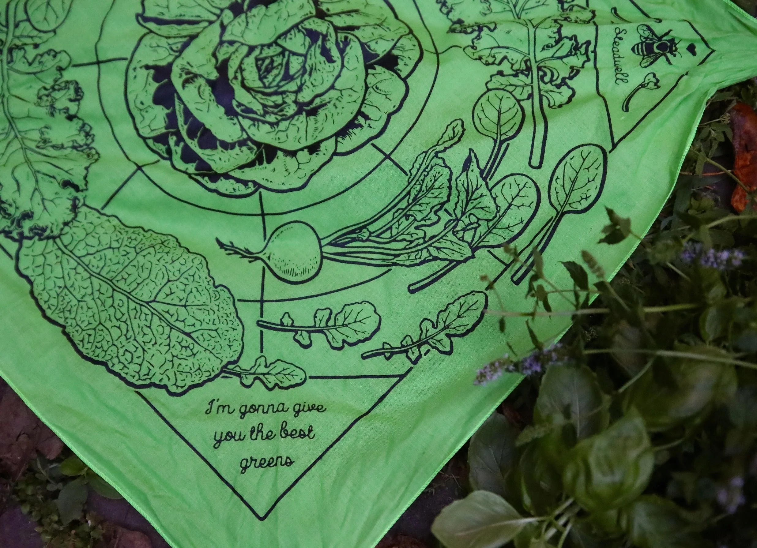 Greens Bandana