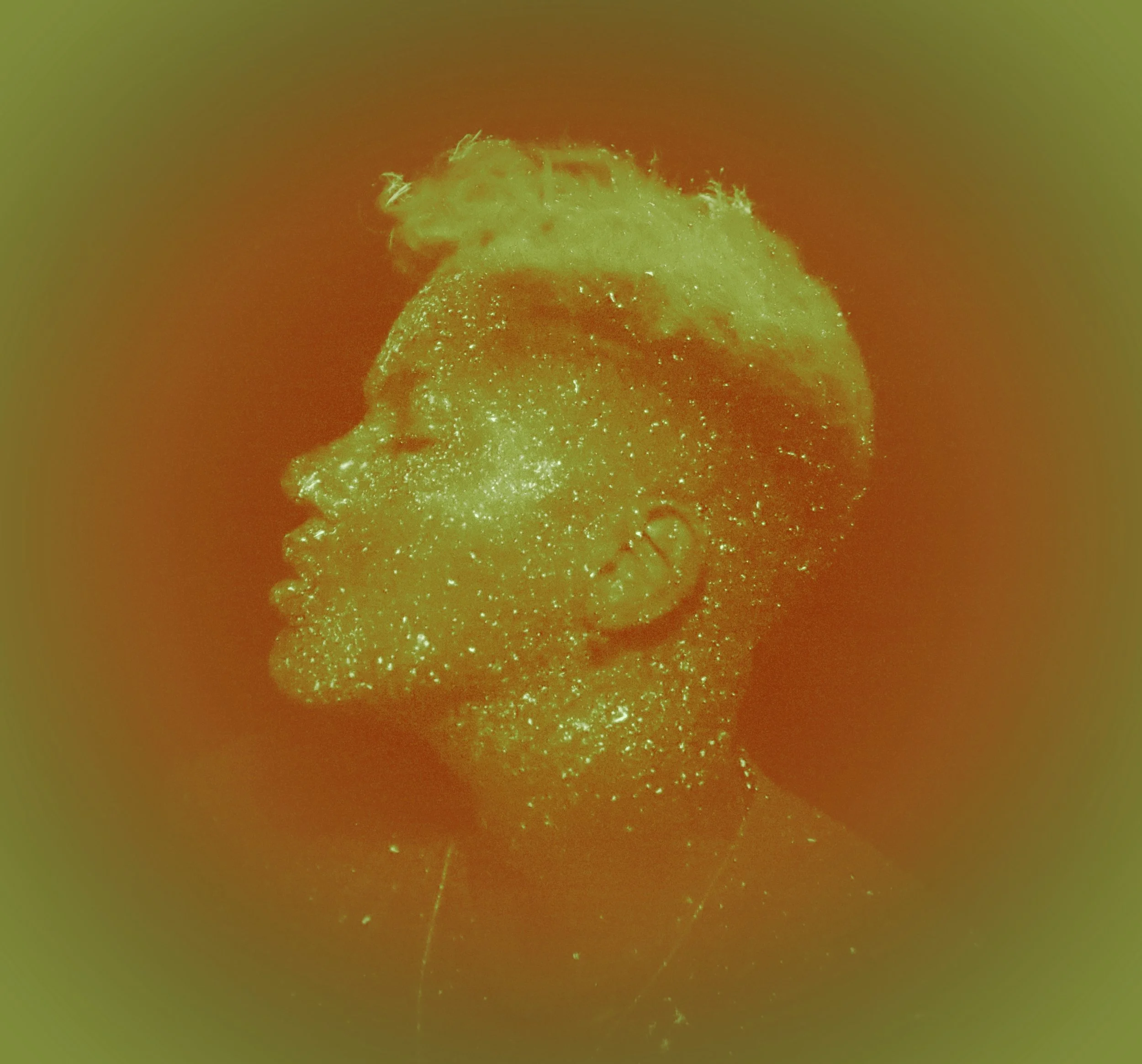 Succulent CD