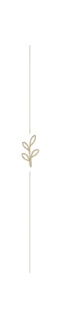 A minimal line drawing of a small plant with leaves, centered between two dotted vertical lines.