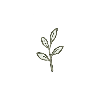 A small branch with five silver-green leaves.