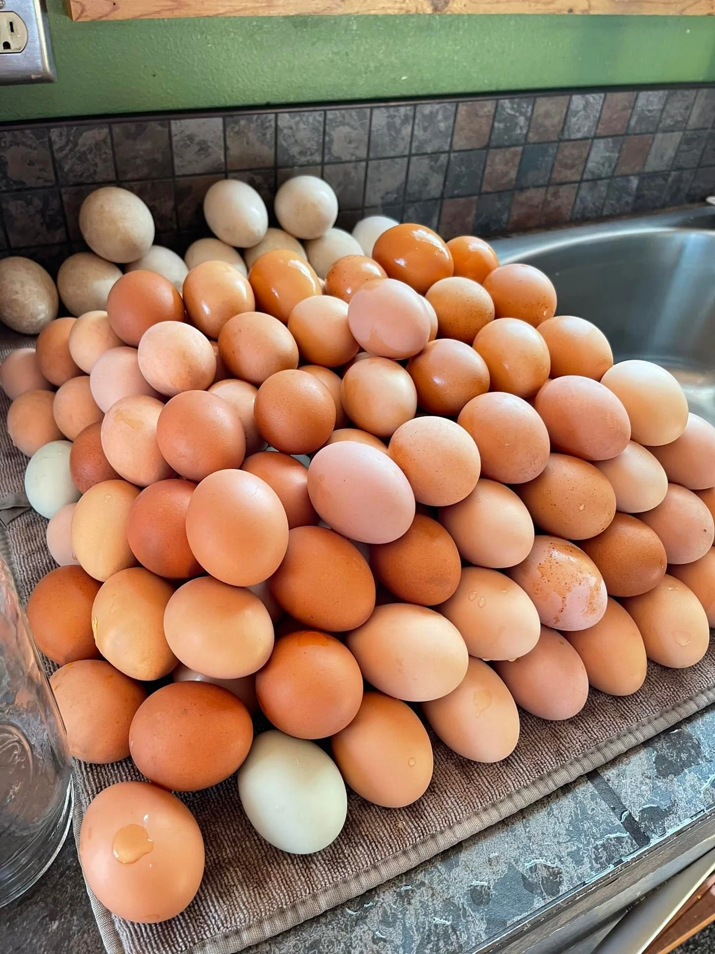 egg4.jpg
