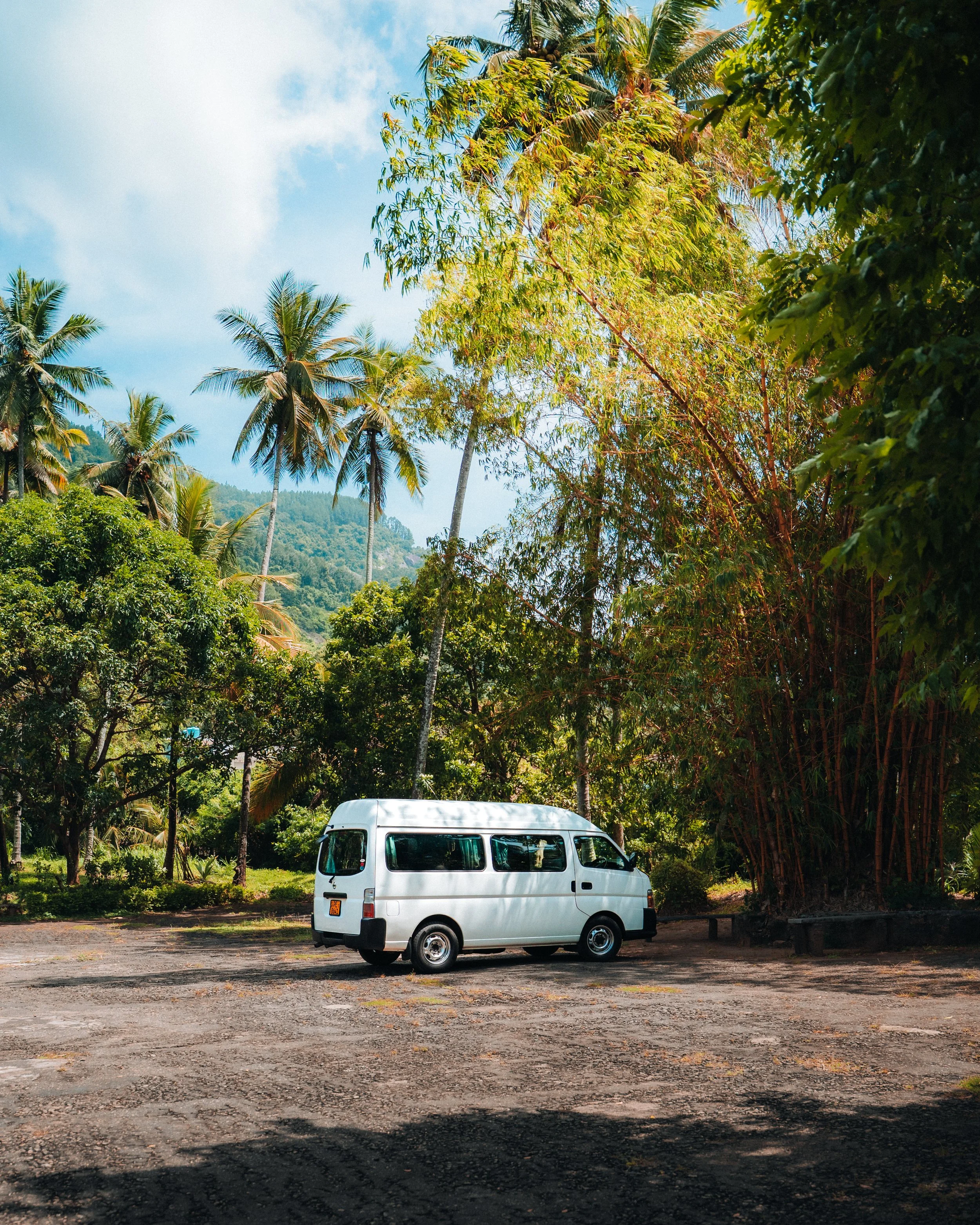 sans titre-08081.jpg