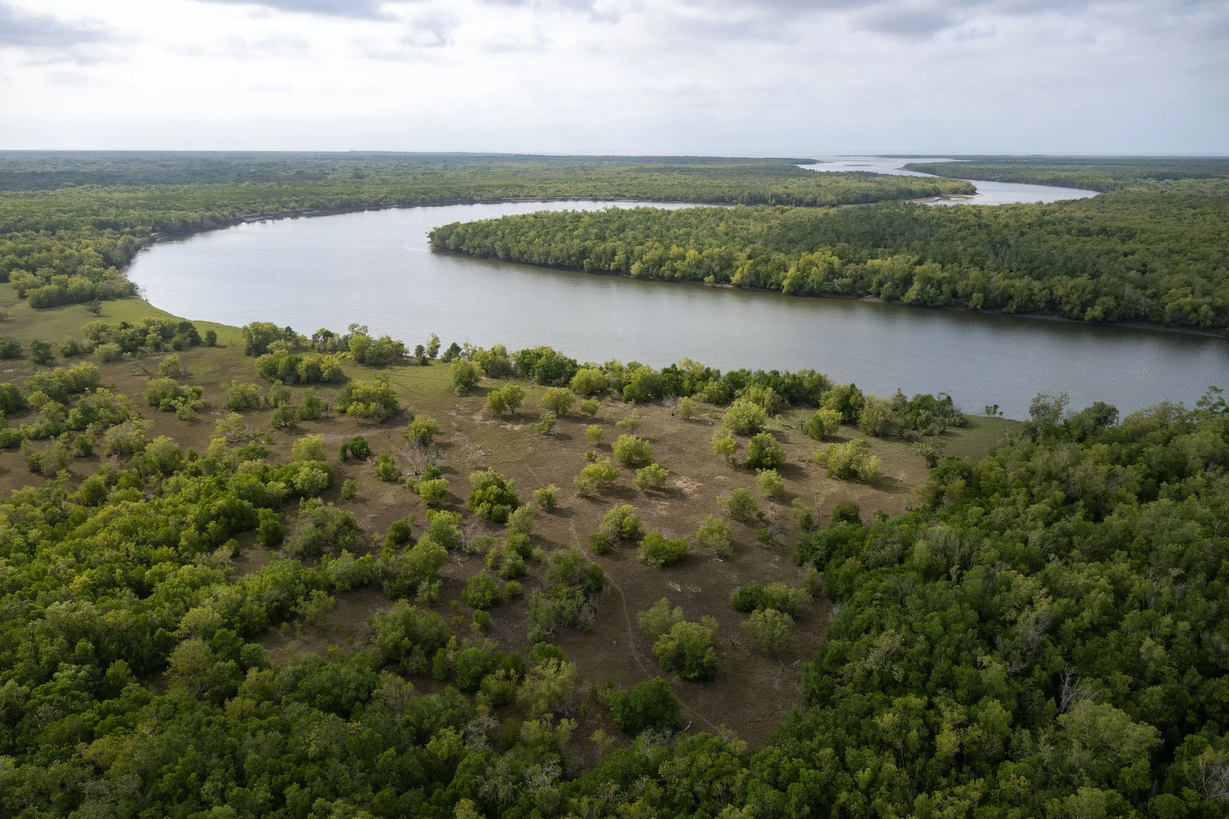 Aerial view of a winding river flowing through a lush green forest with patches of open land, under a cloudy sky.