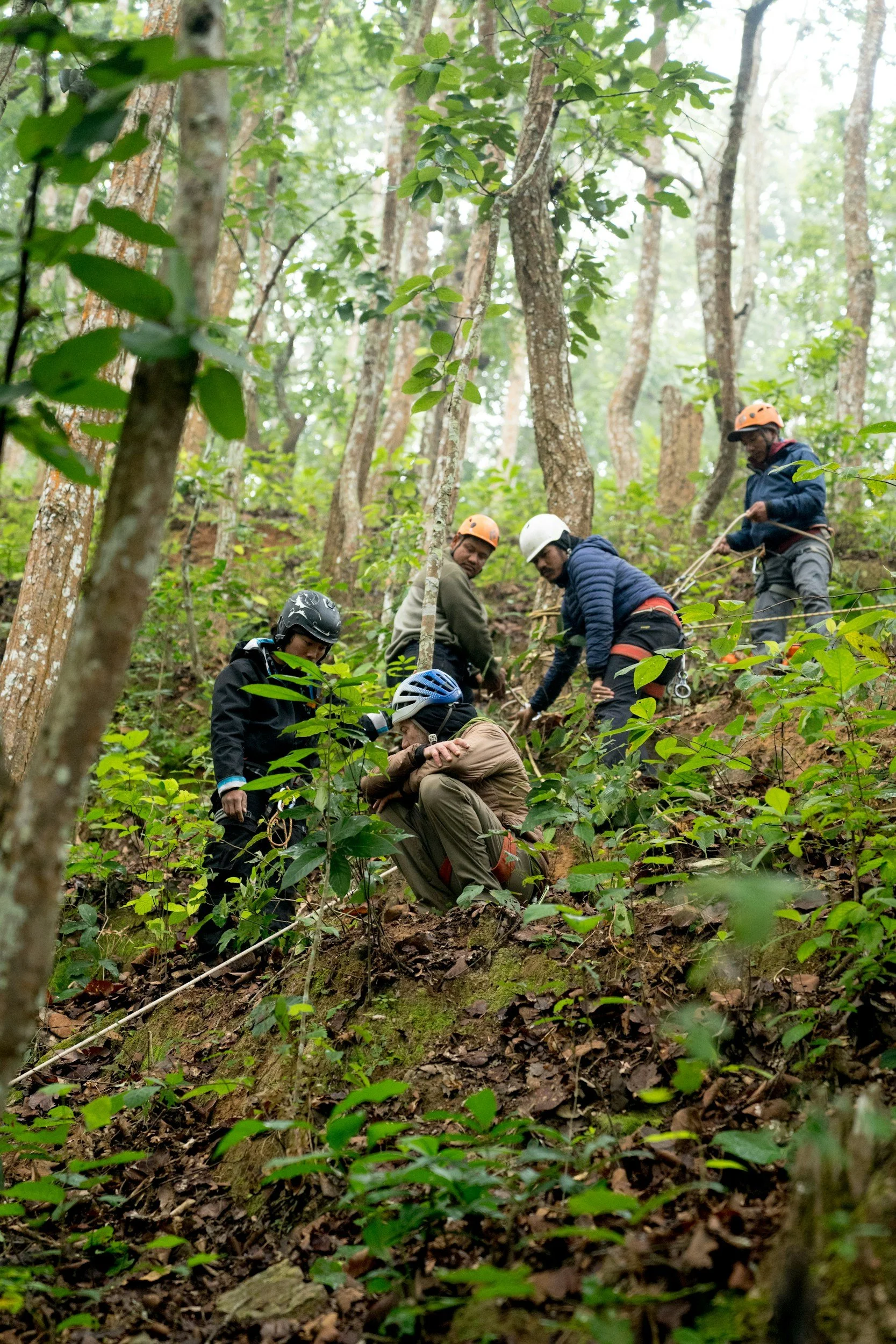 Group of rescue workers assisting a person on a steep, wooded hillside while wearing helmets and outdoor gear.