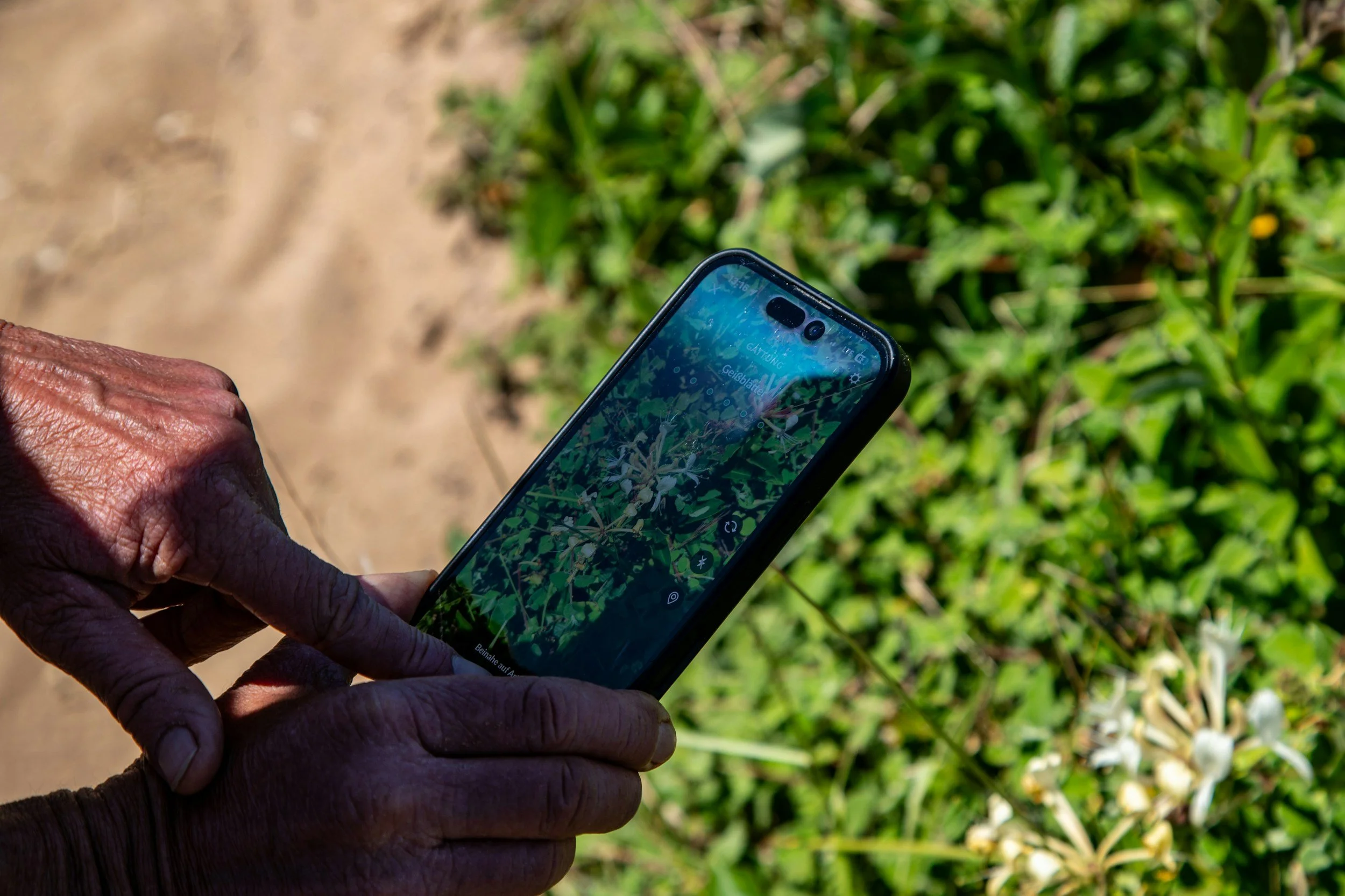 Close-up of a person's hand holding a smartphone outdoors, with a green leafy background visible on the phone's screen and in the surrounding environment.