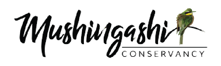 Logo with the text 'Mushingashi Conservancy' and a small illustration of a bird perched on a branch.