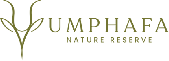 Umafafa Nature Reserve logo featuring a stylized plant with leaves.