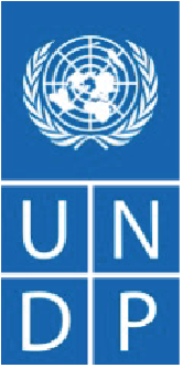 United Nations logo with a blue background and the UN emblem above the letters 'UN' and 'DP'.