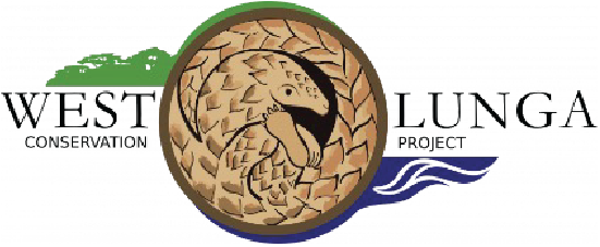 A stylized logo with a circular emblem featuring a Viking helmet and a dragon, surrounded by green, black, and blue colors.