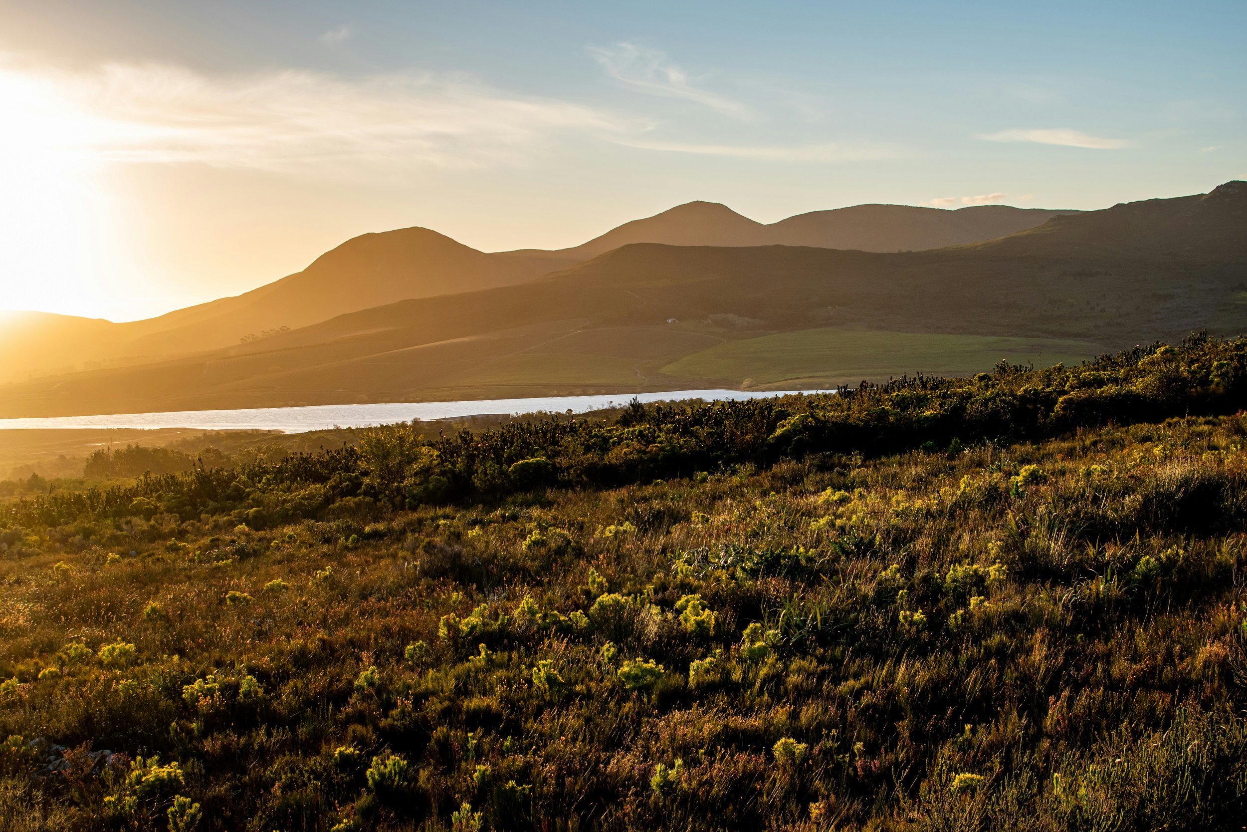 Sunset over rolling hills and a body of water with grassy vegetation in the foreground.
