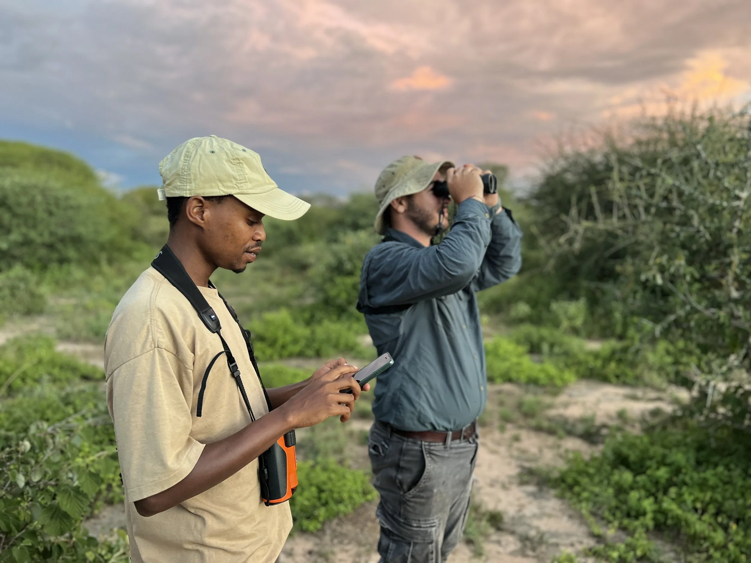 Two men are outdoors in a green, natural setting during dusk. One man is looking at his phone while the other is looking through binoculars. Both are wearing hats and casual outdoor clothing.
