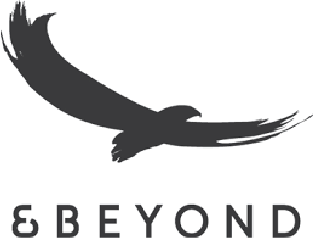 Silhouetted eagle in flight above the word '& BEYOND' in capital letters.