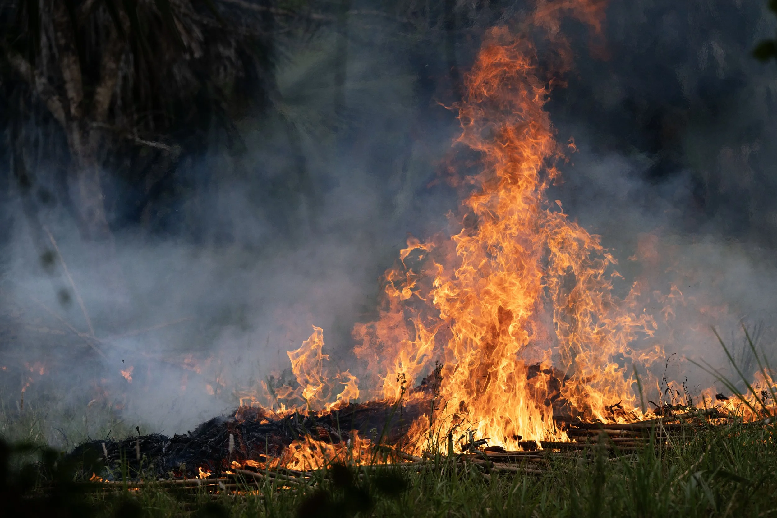 A small grass fire burning on the ground with orange flames and smoke, surrounded by green grass and trees.