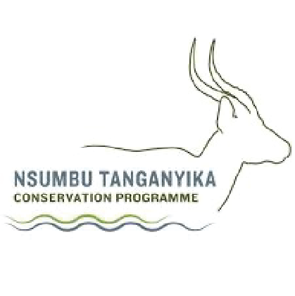 Logo for Nsumvu Tanganvika Conservation Programme featuring an outline of an antelope with long horns and the program name.