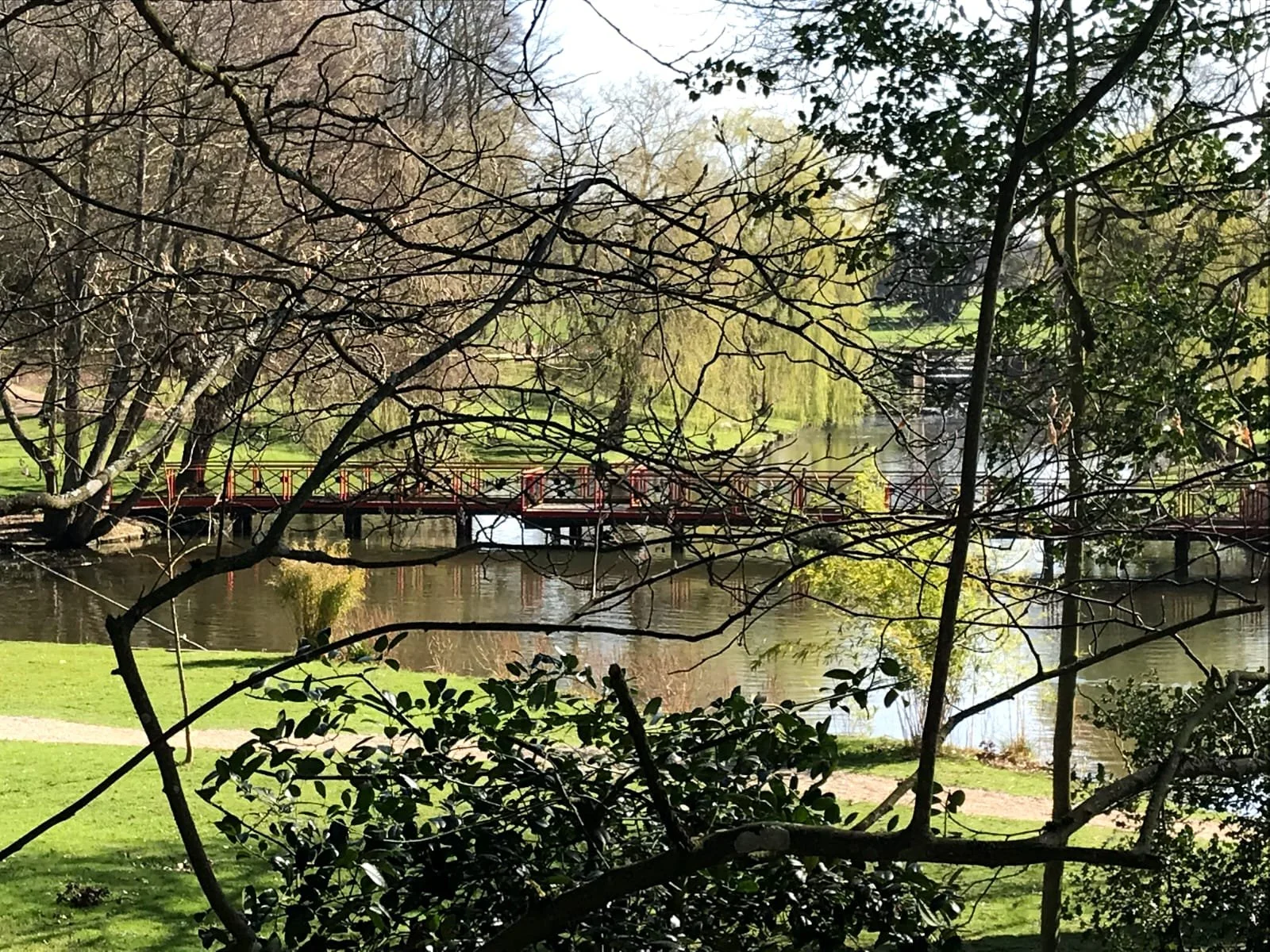 A scenic park view through tree branches showing a pond, a red bridge, grass, and trees in spring.