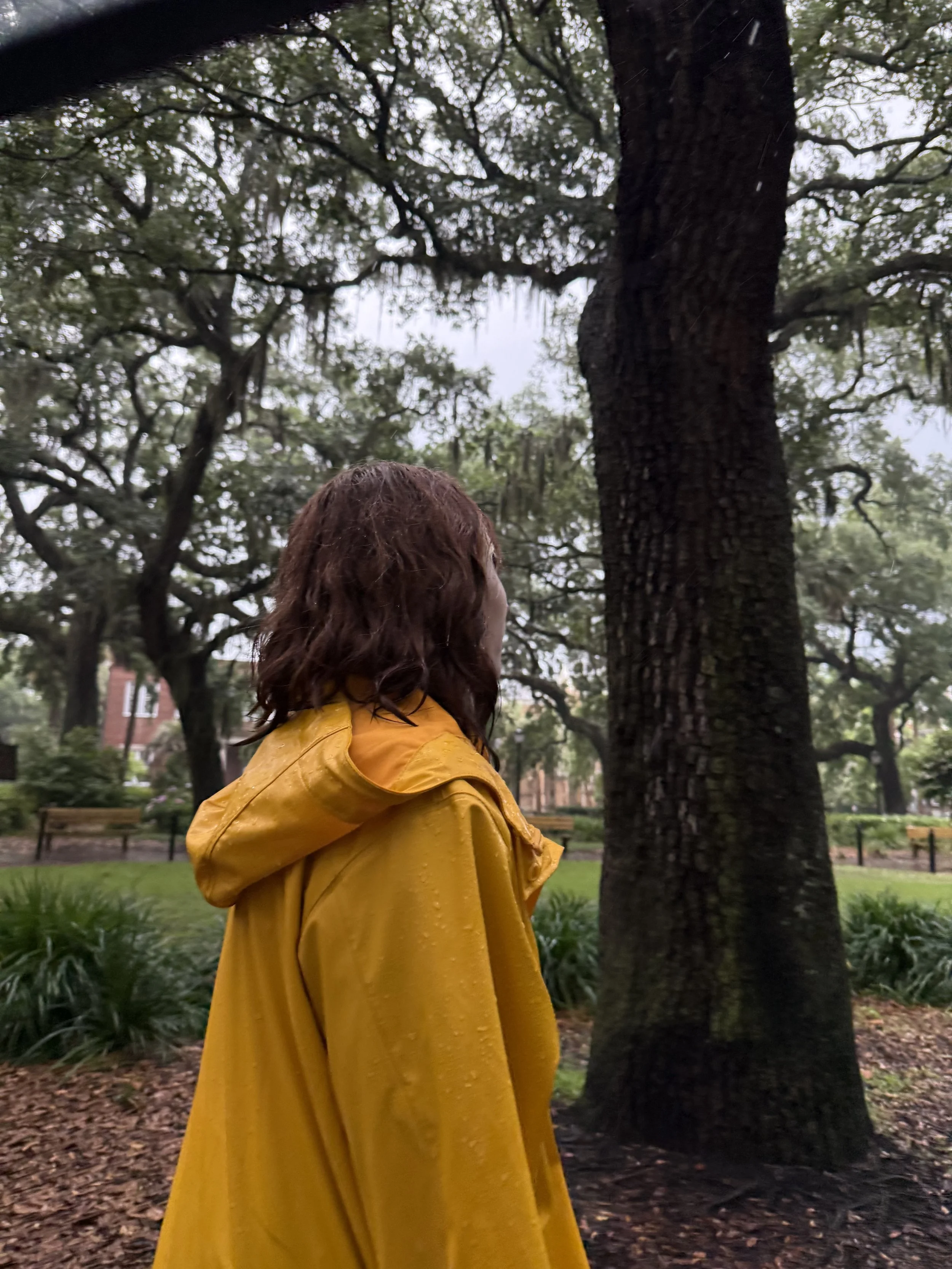 A person with red curly hair wearing a yellow raincoat standing in a park with trees and benches, with rain falling.