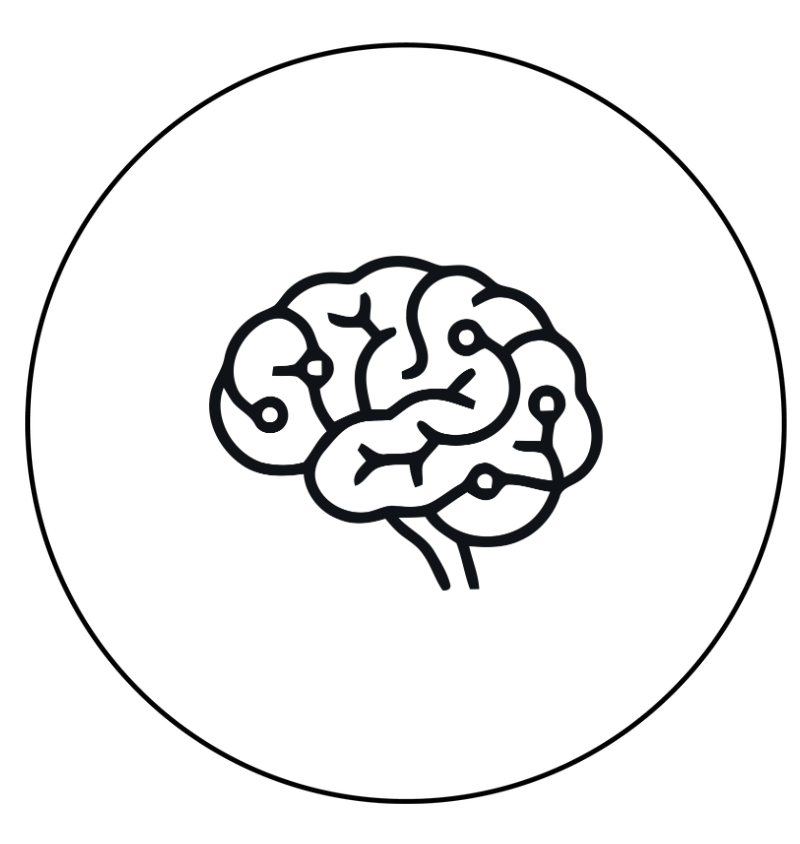 Nervous System Testing + Optimization