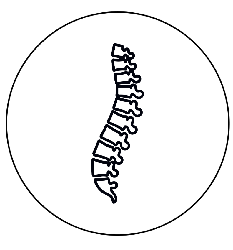 Family Chiropractic