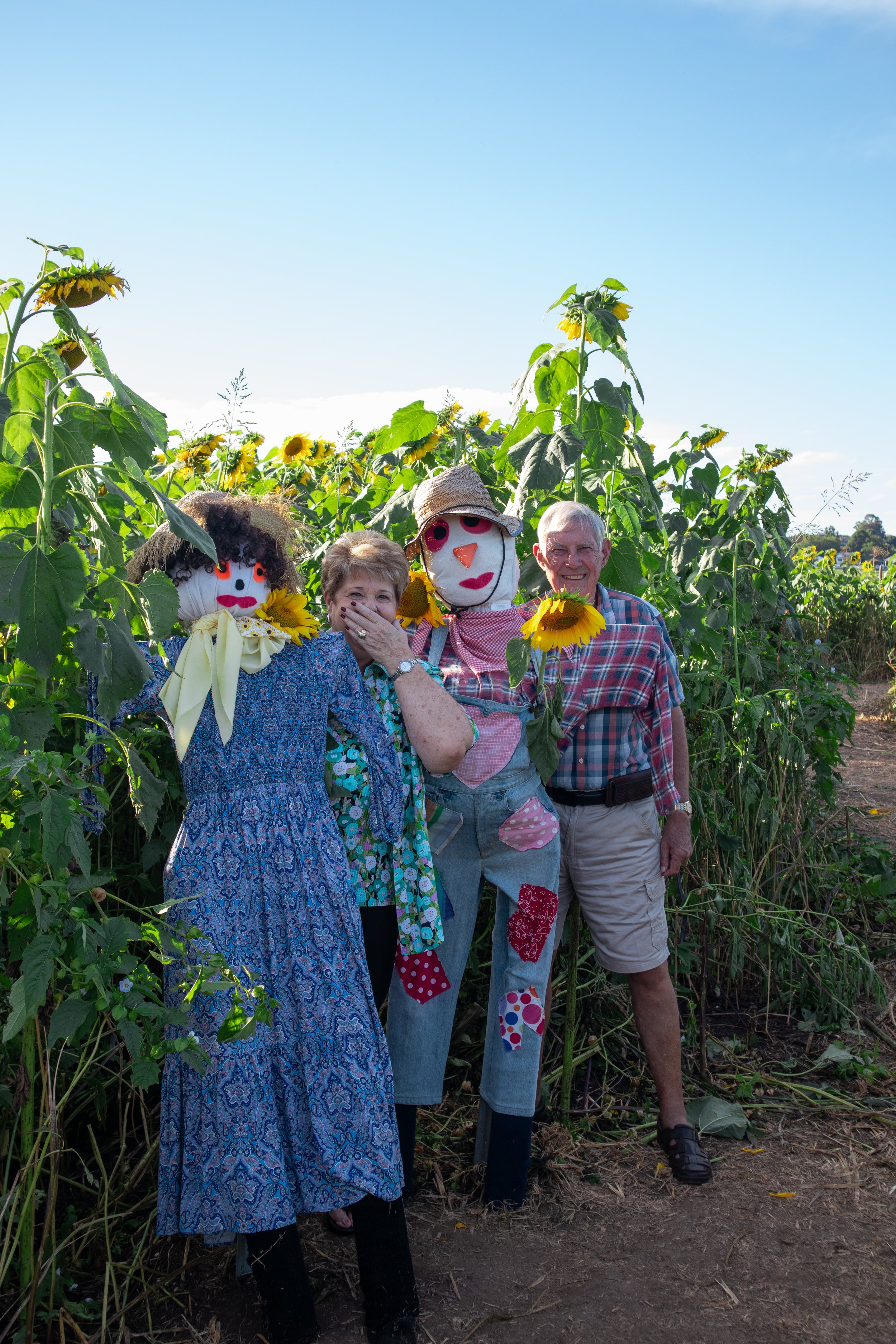 2 adults in a sunflower field with scarecrow decorations. The woman is wearing a blue shirt, covering her mouth, and smiling. The man on the right is wearing a plaid shirt, smiling, with his arm around the scarecrow.