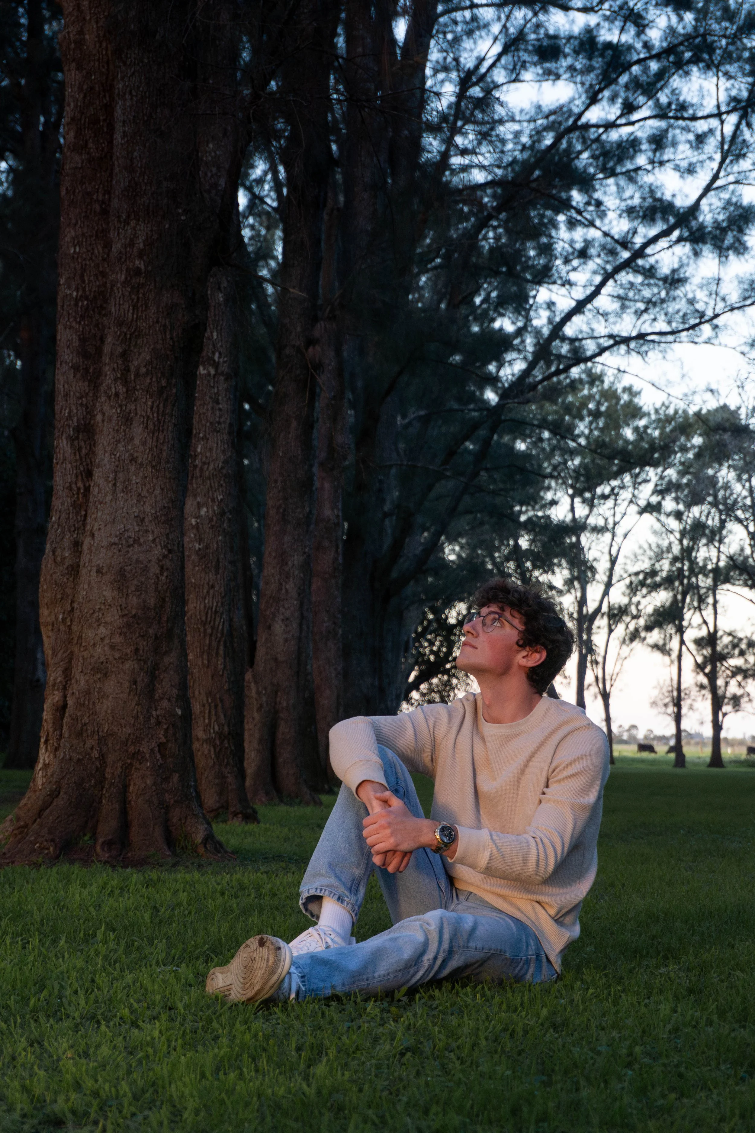 A young man with curly hair and glasses sitting on grass in a park at dusk, resting against a large tree trunk, looking up thoughtfully, with trees and a field in the background.