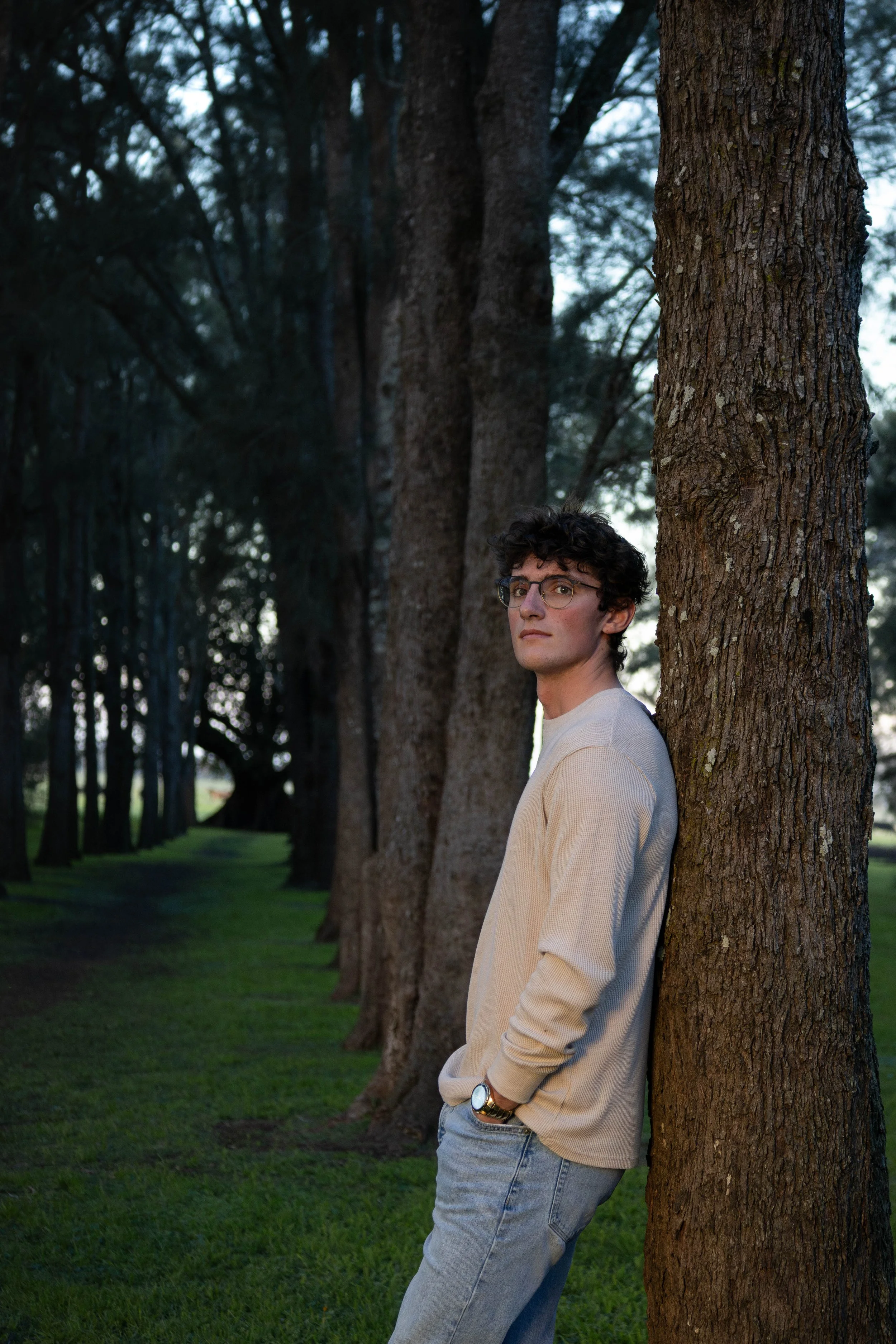 A young man with curly hair and glasses leaning against a tree in a row of trees in a park during late afternoon or early evening.
