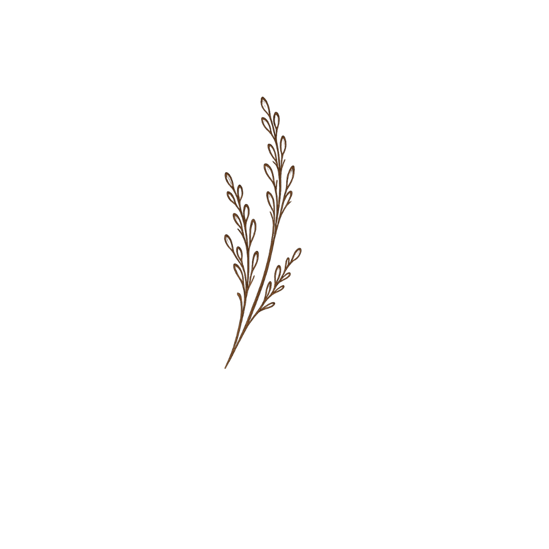 Brown illustrated sprig of leaves on a black background.