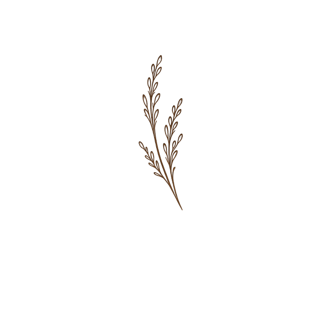 Brown botanical illustration of a sprig of leaves on a black background.