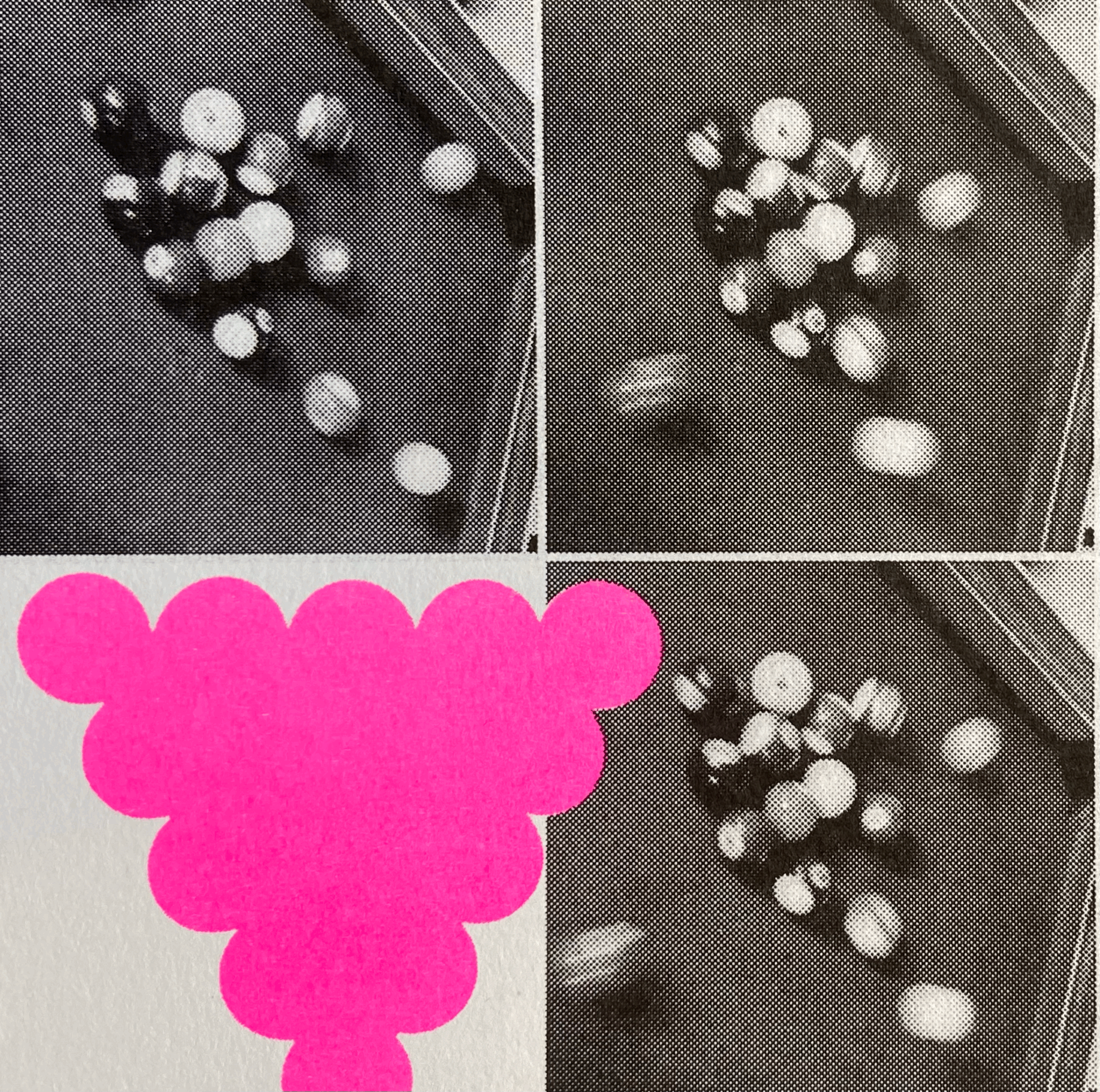 tempImageymmPNX.gif