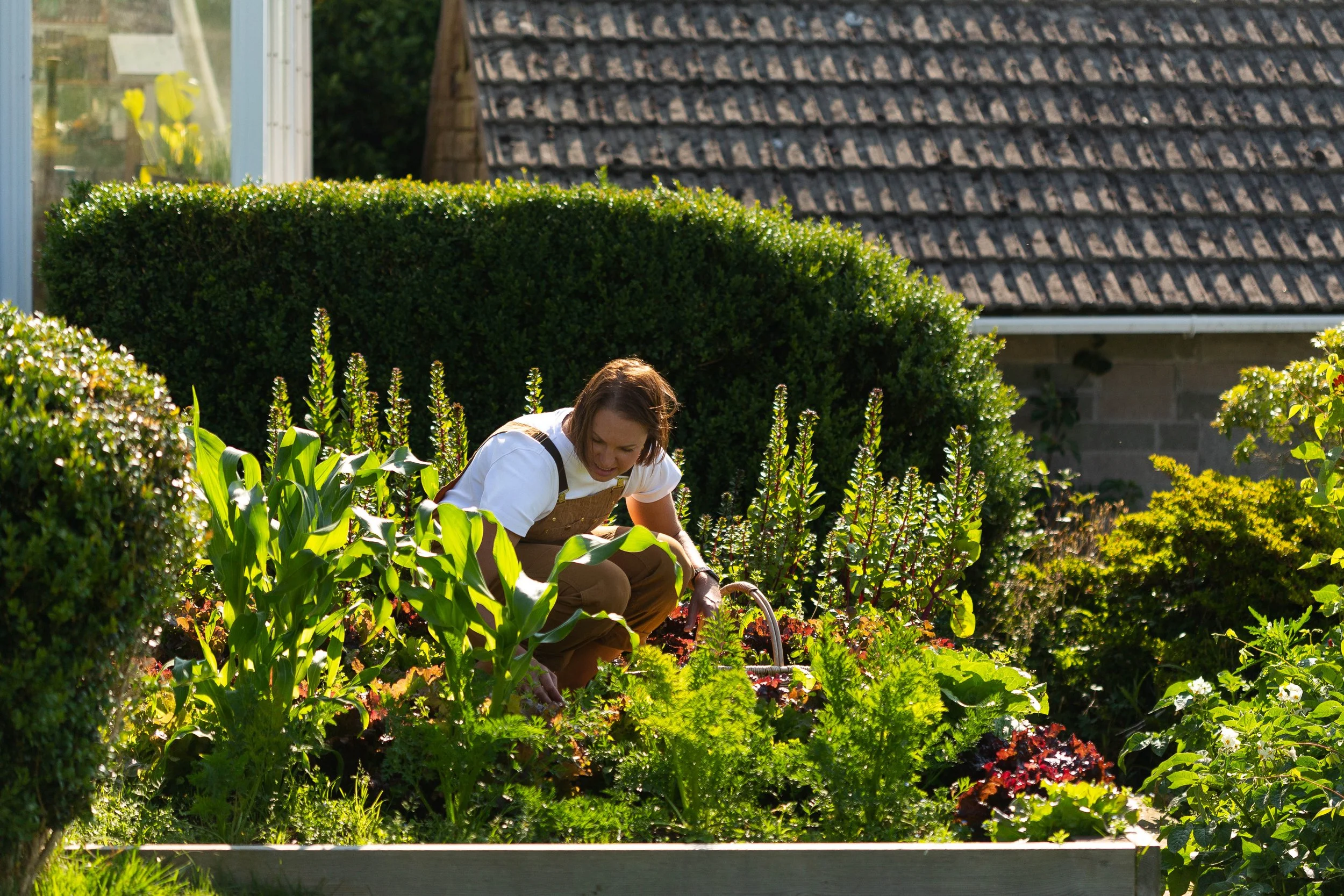 A woman tending to plants in a garden with lush green bushes and a building with a tiled roof in the background.