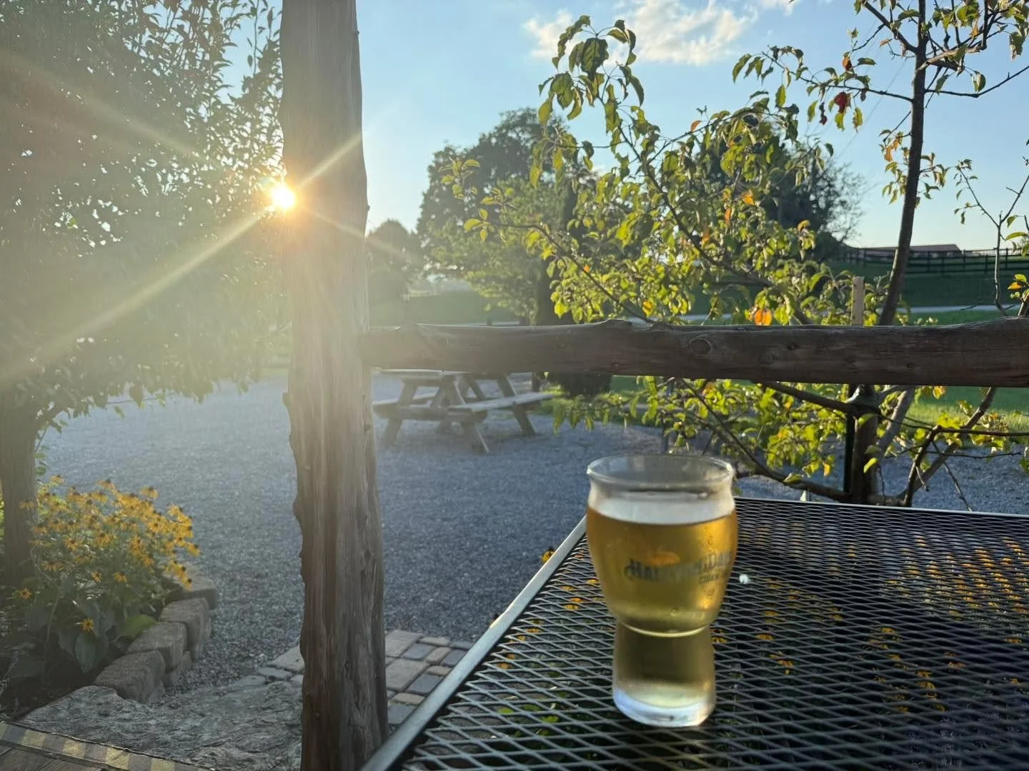 The Cidery is OPEN Thursdays/Fridays 2-7, Saturdays 12-7 and Sundays 12-6. We are family and pet friendly, outside food is always welcome and we have iplenty of indoor/outdoor seating.  The labyrinth orchard is open during business hours and is free 