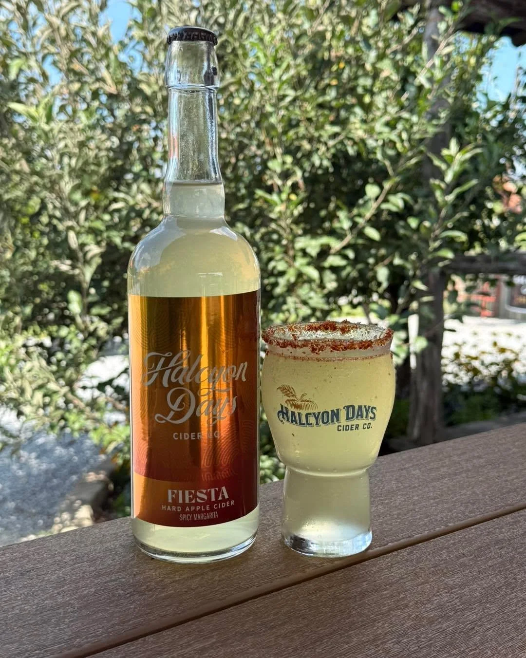 Cool off this week with Fiesta (spicy margarita) Cider! We like ours with a little ice and tajin on the rim! Stock up TODAY for Margarita Mondays!! 
 #naturalbridgeva #lexingtonva #rockbridgecounty #HalcyonDays #hardcider #labyrinthorchard #vaciders 