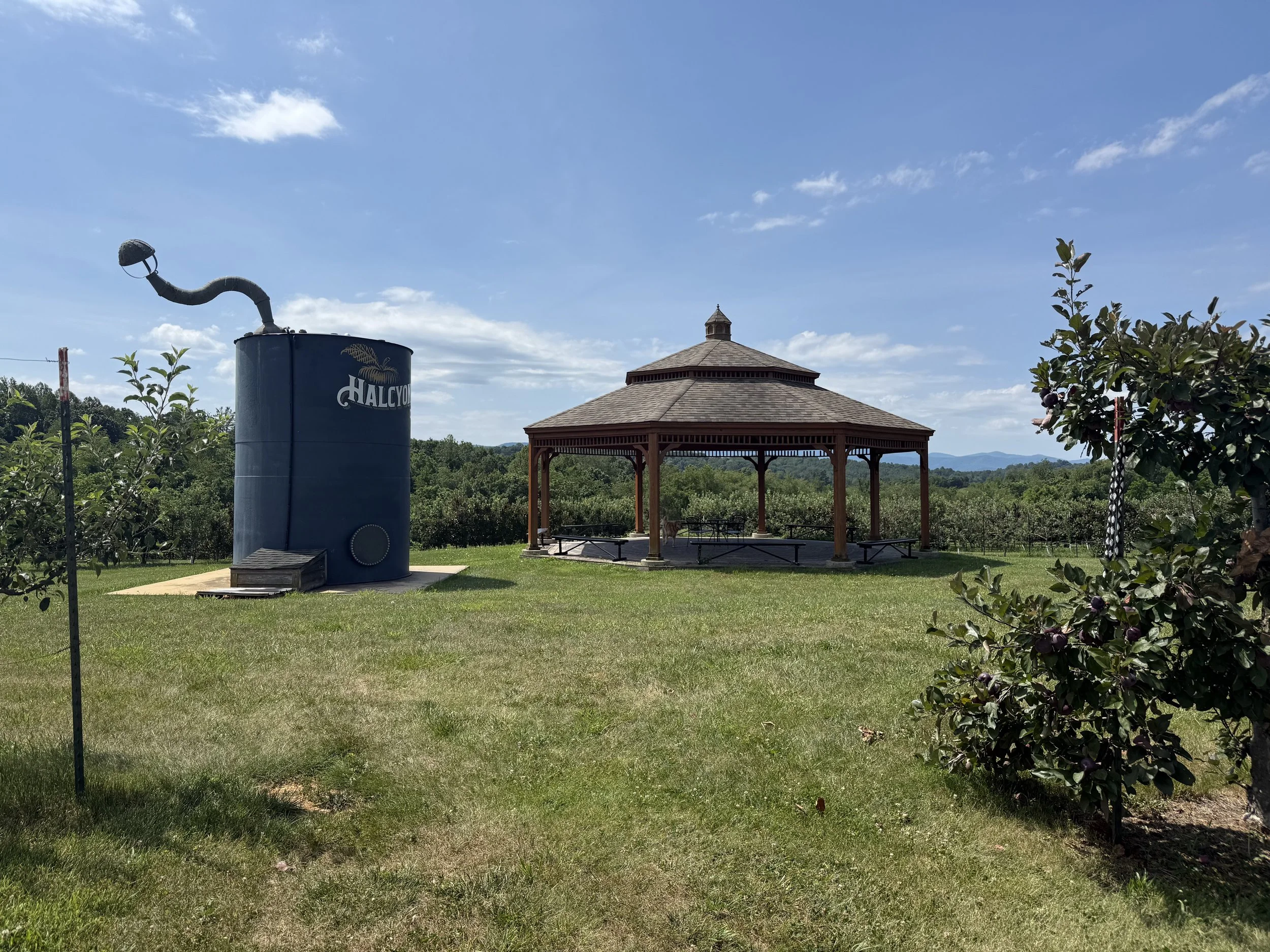 Yoga in the Orchard