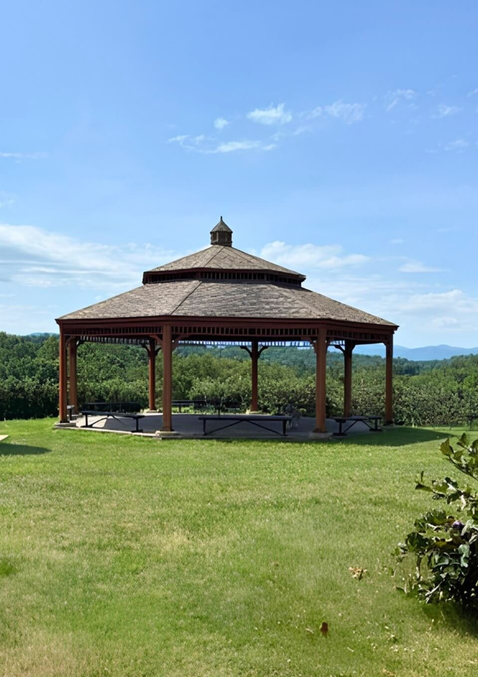 A wooden gazebo situated at the top and middle of the labyrinth orchard with a clear blue sky and distant hills in the background.