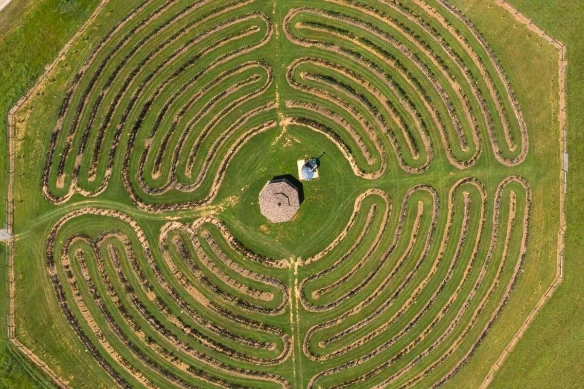 Moments of Reflection in the Labyrinth