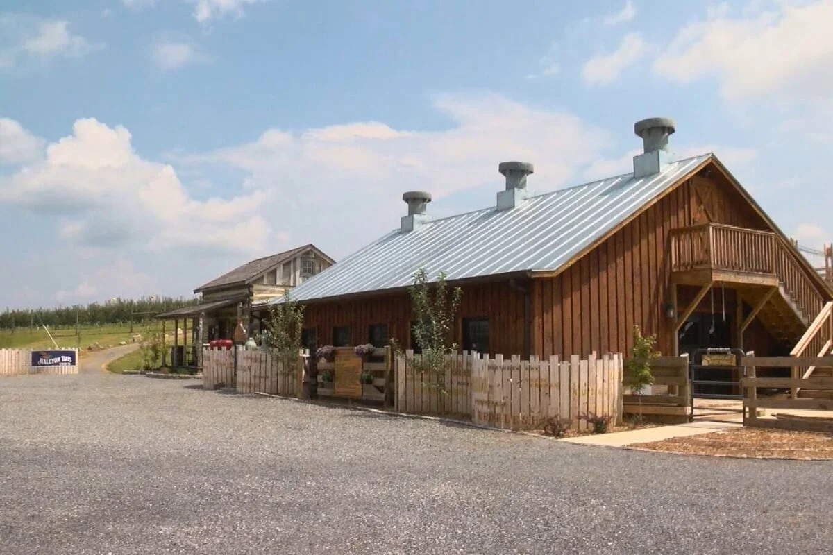 WDBJ7 Spotlights Our Upcoming Opening