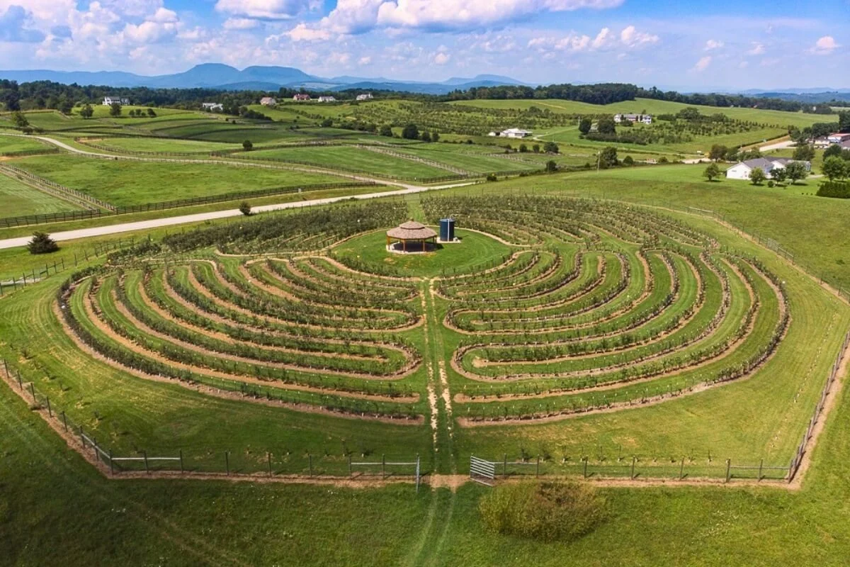 A circular labyrinth made of apple trees on a green lawn, with a small gazebo at the center and a blue silo nearby, surrounded by rolling hills and a distant mountain range.