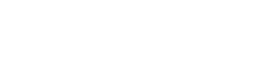 University of Arizona logo