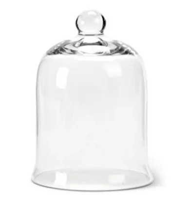bell jar.JPG