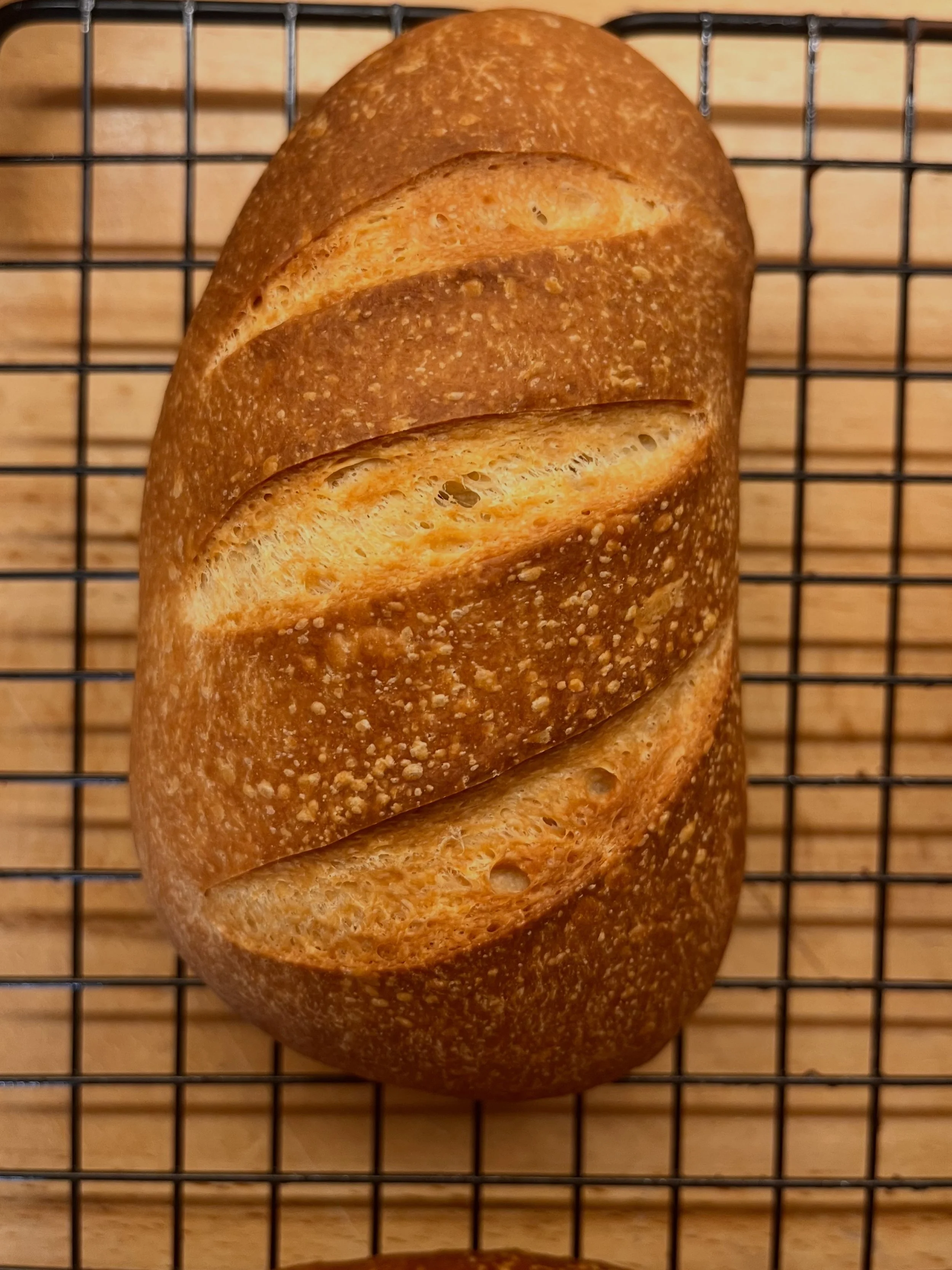 Sandwich Rolls