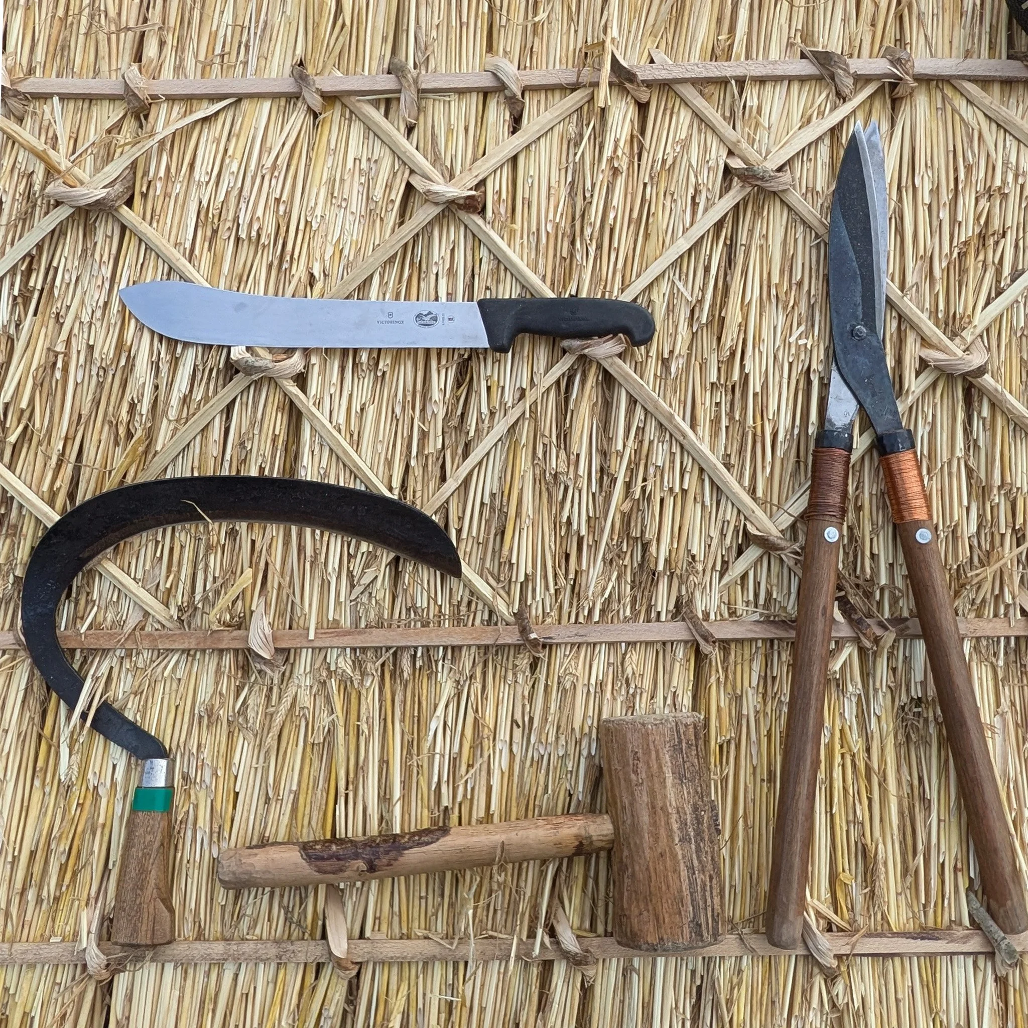 A thatched roof made of dried grass or straw with various gardening tools on it, including a large knife and pruning shears.