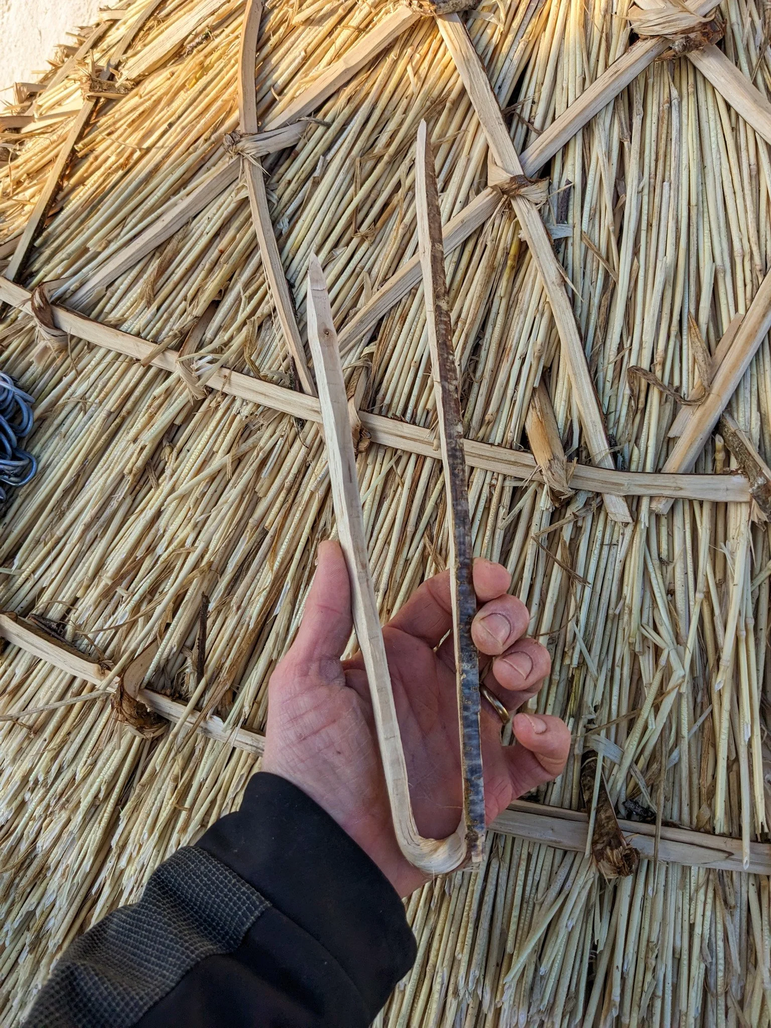 A hazel spar