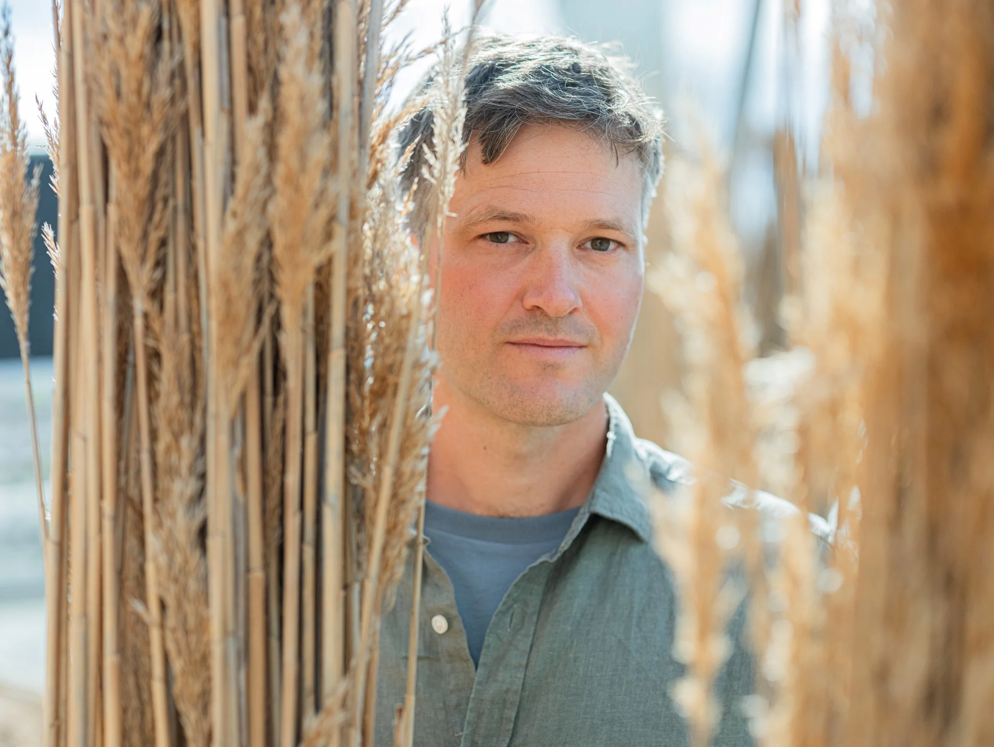 A man with short grayish hair and light skin peering out from behind a bundle of wheat stalks.