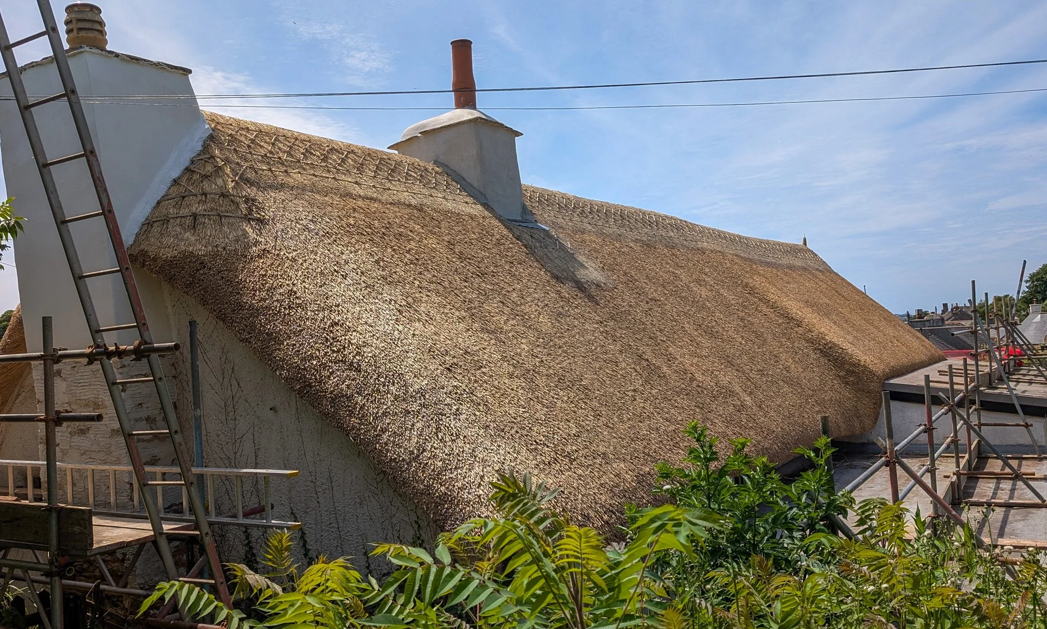 Full re-thatch and flush ridge in the South Hams. Water reed and flush ridge.