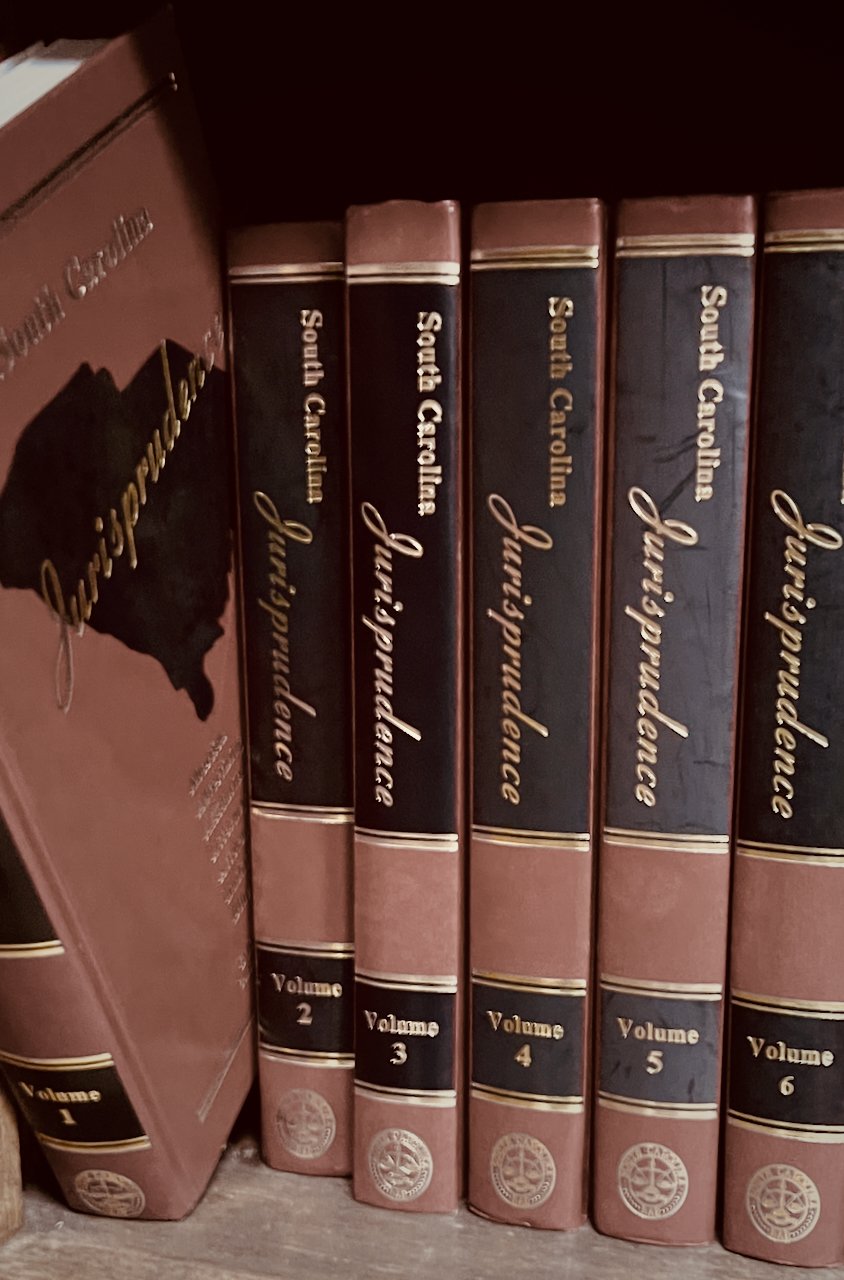 A collection of Sandra Carolina Jordan's 'Journals of Perdition' books, numbered volumes 1 through 6, arranged on a shelf.