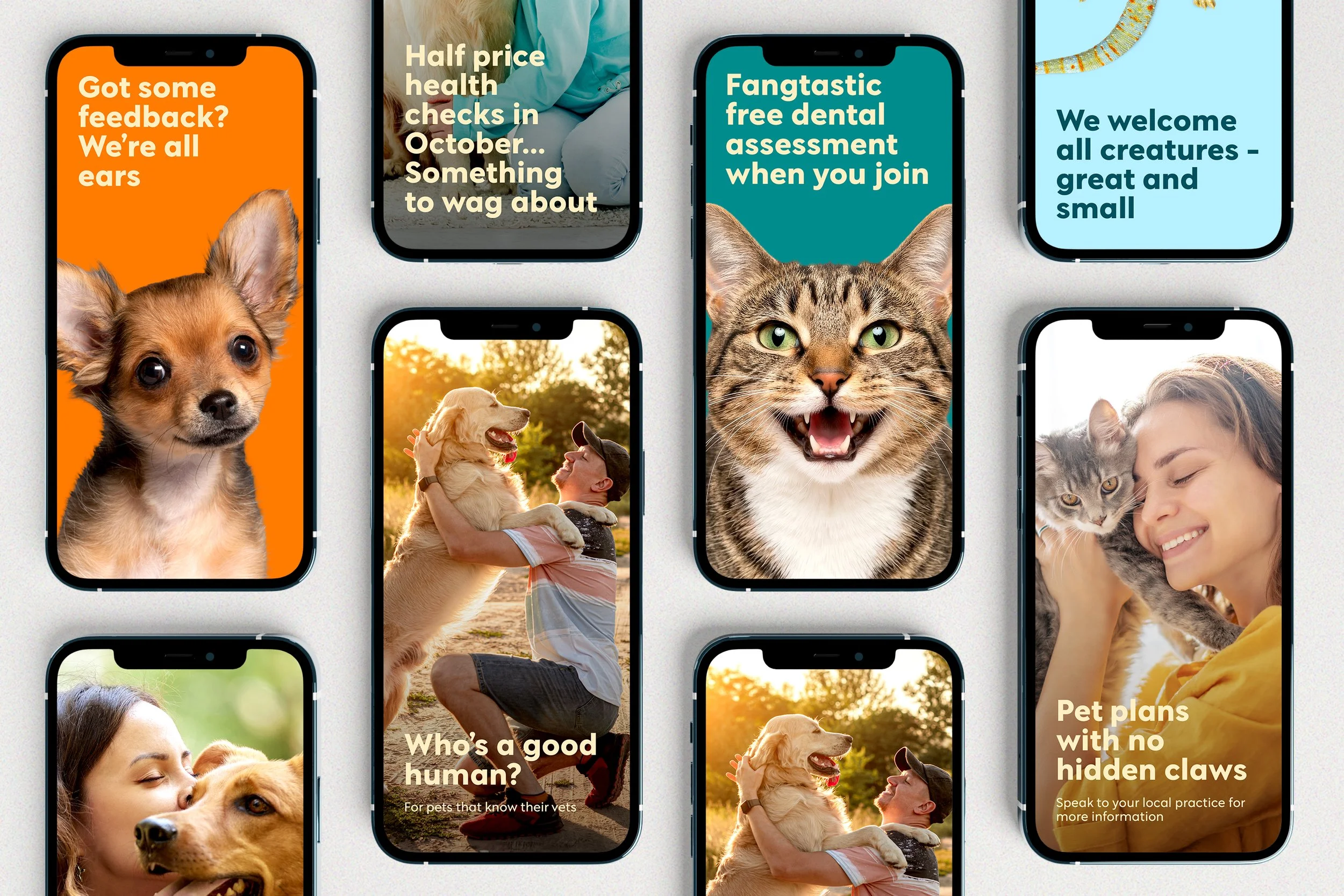 Paws Vets social media campaign showing branded posts for the veterinary group