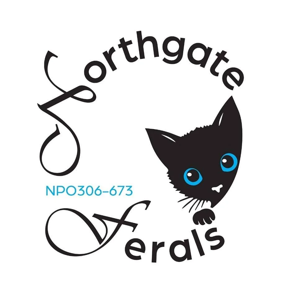 Logo for 'Jorthgate Vegetals' featuring a black cat with blue eyes and a paw, with the text 'Jorthgate' in a curved font above the cat and 'Vegetals' below the paw, and a blue code 'NPO306-673' to the left of the cat.