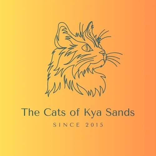 Outline drawing of a cat's head with the text 'The Cats of Kya Sands Since 2015' against a yellow to orange gradient background.
