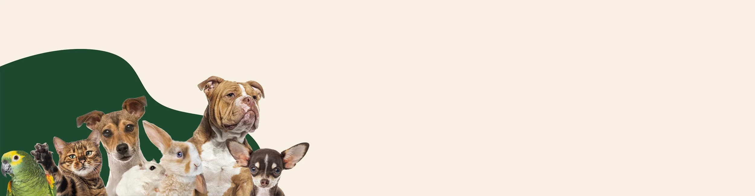 Collage of various pets including a parrot, cat, rabbit, and multiple dogs against a beige background with a green shape.