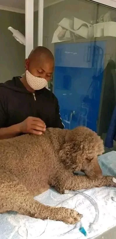 Charles, Kennel Hand at The Barn Vet in Northriding, Johannesburg